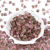 Picasso Transparent Glass Beads SEED-Q039-02K-2