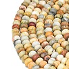 Natural Crazy Agate Beads Strands G-P575-A04-6x4mm-01-3