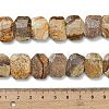 Natural Picture Jasper Beads Strands G-C285-A11-01-5