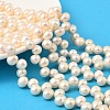 Natural Cultured Freshwater Pearl Beads Strands PEAR-I007-04E-02B-1