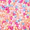 Opaque Baking Paint Glass Seed Beads SEED-T008-02-M02-3