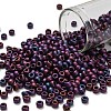 TOHO 6/0 Round Beads SEED-XTR06-0704-1