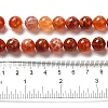 Natural Fire Crackle Agate Beads Strands G-G212-10mm-10-2