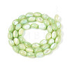 Natural Trochus Shell Beads Strands SHEL-K006-19-01C-2