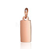 Ion Plating(IP) 304 Stainless Steel Pendants STAS-I311-31A-RG-1