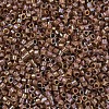 MIYUKI Delica Beads X-SEED-J020-DB1732-3