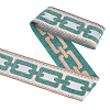 5M Polyester Jacquard Grid Ribbon OCOR-WH0003-088B-04-1