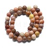 Natural Petrified Wood Round Beads Strands G-D356-C01-8mm-2