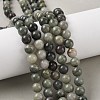 Natural Green Line Jasper Beads Strands G-G735-55-8mm-5