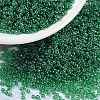 MIYUKI Round Rocailles Beads SEED-X0056-RR0173-1