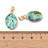 Constellation Natural Paua Shell Pendants KK-P265-01G-01-3