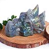 Natural Labradorite Carved Dragon Head Figurines PW-WGCF919-02-3