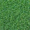 MIYUKI Round Rocailles Beads SEED-X0054-RR0259-3
