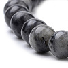 Natural Larvikite Beads Strands X-G-S259-06-12mm-3