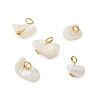 Natural Trochus Shell Chip Charms PALLOY-JF03437-01-1