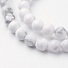 Natural Howlite Bead Strands G-G735-66-6mm-5