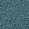 MIYUKI Delica Beads SEED-J020-DB2131-3