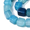Natural Blue Agate Beads Strands G-Q608-10C-4