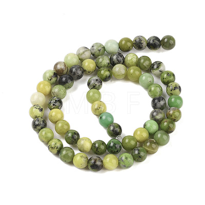 Natural Serpentine Beads Strands G-G829-06-10mm-1