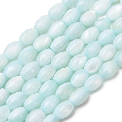 Dyed Natural Freshwater Shell Beads Strands SH-CBA2978-06C-1