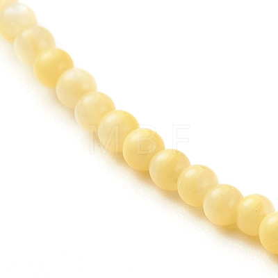 Natural Shell Round Beads Beaded Necklaces NJEW-JN03640-02-1