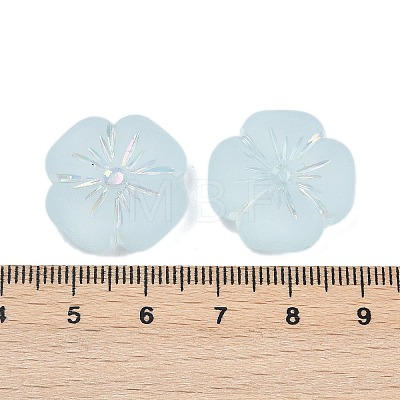 Frosted Transparent Acrylic Beads OACR-P029-19B-06-1