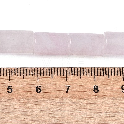 Natural Rose Quartz Beads Strands G-Q159-A03-01-1