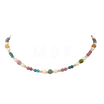 Gemstone & Natural Cultured Freshwater Pearl Beads Necklaces for Women NJEW-JN06518-01-1