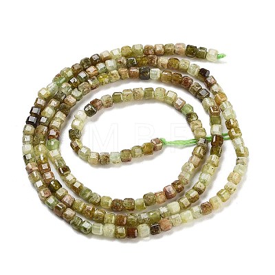 Natural Green Garnet Beads Strands G-H042-B15-01B-1