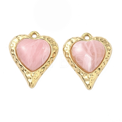 304 Stainless Steel & Resin Pendants STAS-G371-18G-01-1