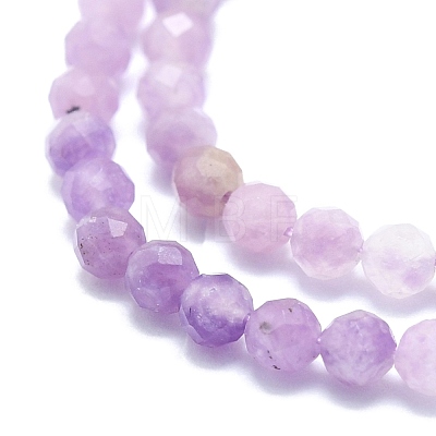 Natural Lepidolite/Purple Mica Stone Beads Strands G-P457-A02-01-1