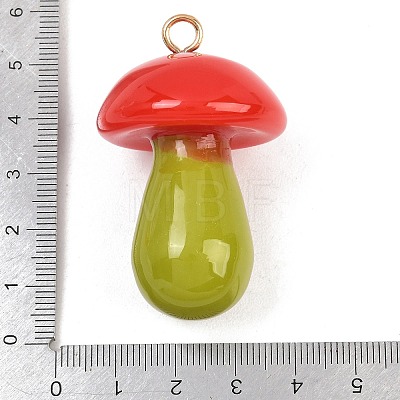 Opaque Resin Big Pendants FIND-E053-02A-G-1