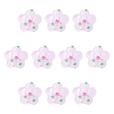 10Pcs Handmade Lampwork Beads LAMP-TADJ0001-01J-1