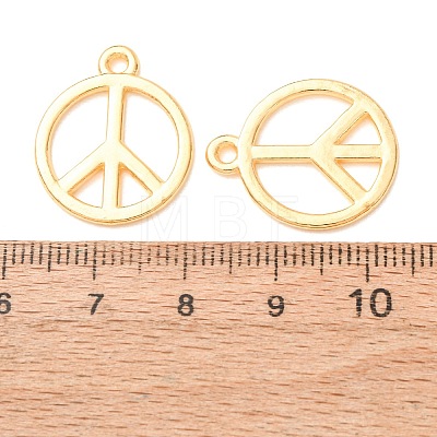 Tibetan Style Alloy Pendants TIBEP-K67-G-NR-1