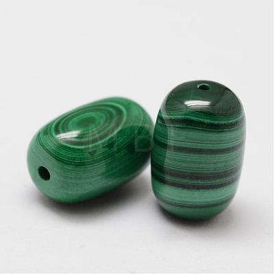 Wax Gourd Natural Malachite Beads G-I178-03-8x12-1