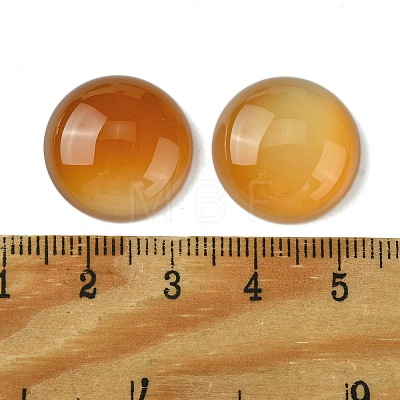 Natural Carnelian Cabochons G-L601-02A-01-1