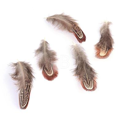 Chicken Feather Costume Accessories FIND-Q046-08-1