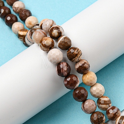 Natural Zebra Jasper Beads Strands G-C079-B01-01-1