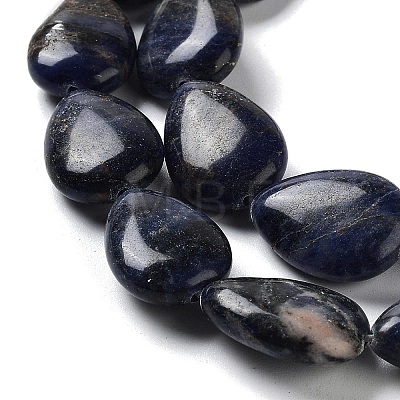 Natural Sodalite Beads Strands G-L242-19-1
