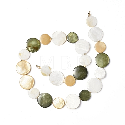 Spray Painted  Natural Freshwater Shell Beads Strands SHEL-C003-03-1