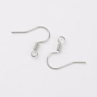 Iron Earring Hooks E133-S-1
