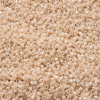 MIYUKI Delica Beads SEED-MY11-DB0205-1