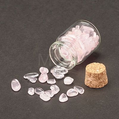 Transparent Glass Wishing Bottle Decoration DJEW-A001-01A-07-1