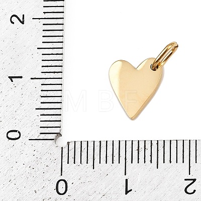 304 Stainless Steel Charms STAS-L291-01G-I-1