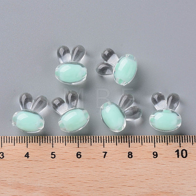 Transparent Acrylic Beads TACR-S152-05A-SS2111-1