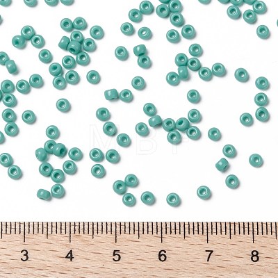 MIYUKI Round Rocailles Beads X-SEED-G008-RR0412L-1