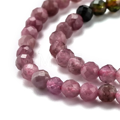 Natural Tourmaline Beads Strands G-H266-15B-1