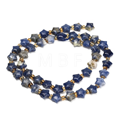Natural Sodalite Beads Strands G-Z080-A28-8mm-1