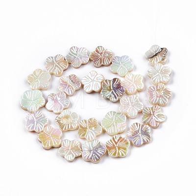Electroplated Natural Freshwater Shell Beads Strands SHEL-N026-203A-01-1