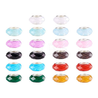 Mega Pet 110Pcs 11 Colors Resin European Beads RPDL-MP0001-01-1